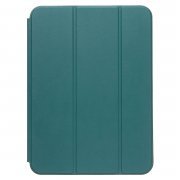 Чехол для планшета - TC003 Apple iPad 10 10.9 (2022) (сосновый зеленый) (рисунок)